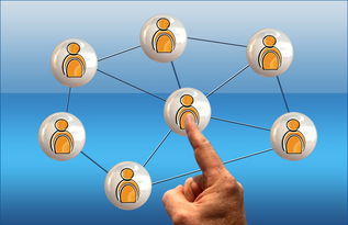 kaiyun体育app-英超球员社交媒体互动提升粉丝忠诚度研究，英超球队球迷