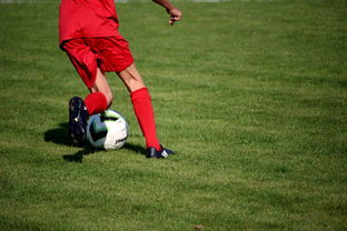 Kering-英超青训体系心理压力管理提升年轻球员稳定表现，英超球员训练时间