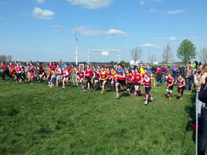 kaiyun-青少年体育兴趣培养的社会支持研究，培养青少年体育爱好基本实现青少年熟练掌握一项